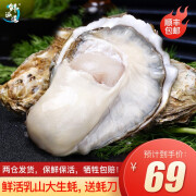 鲜海道 鲜活乳山生蚝 牡蛎净重5斤