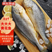 京东京造 大大大黄鱼1.05kg(2条)