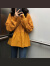 伊顿德鲁秋季新款韩版女装宽松显瘦学生休闲上衣纯色长袖T恤卫衣女潮 黄色 M