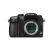 松下（Panasonic）无反微单数二手码相机 GH5S+【100-300mm】套机 95新