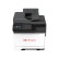 奔图（PANTUM）CM5055DN 国产化 A4彩色激光多功能一体机 打印、复印、扫描 自动双面打印 38ppm 黑彩同速 密码打印 支持双系统