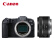 佳能（Canon）EOS RP 全画幅微单数码相机+RF50mm F1.8 STM定焦镜头（含256G卡+双肩包+备电+卡色UV+三脚架）