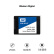 西部数据（WD) 250GB SSD固态硬盘 SATA3.0 Blue系列 3D技术 高速读写