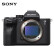 索尼（SONY）Alpha 7S III A7S3（ILCE-7SM3/a7s3）全画幅微单数码相机 专业4K 120p视频 含256G卡专业套装
