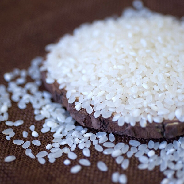 19年现磨软香米新米宜兴大米30斤香米煮粥煲饭珍珠米胚芽粳米15kg包邮