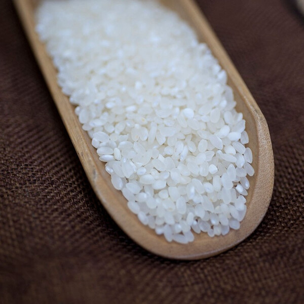 19年现磨软香米新米宜兴大米30斤香米煮粥煲饭珍珠米胚芽粳米15kg包邮