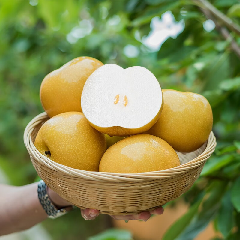 京觅 青青大地 羊脂秋月·冰糖梨 净重4斤8粒 京东优惠券折后￥29.9包邮