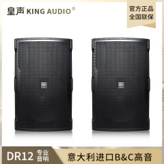 皇声音响（HUANG SHENG）皇声KingAudio/ DR12音箱 卡拉OK包房清吧KTV酒吧12英寸音箱一对 DR12音箱