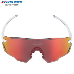 喜德盛（xds）089骑行眼镜装备护目变色开车自行车骑行跑步运动摩托防风太阳镜