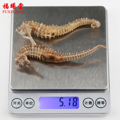 福曦堂海马 泡酒药材