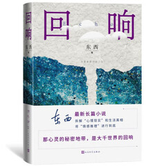 东西长篇力作：回响