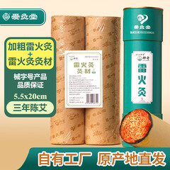 李氏珍神奇 LEE'S MAGIC爱灸堂械字号雷火灸粗艾条 艾柱艾绒随身艾灸门店同款 5.5*20cm三年 两灸材+灸筒