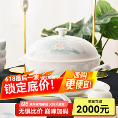 华光陶瓷碗套装 抗菌骨瓷餐具 釉中彩碗碟套装家用中式 春江水暖 春江水暖 46头礼盒装【抗菌瓷】