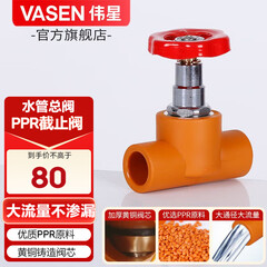 伟星 PPR截止阀 水管阀门入户开关热熔总阀门4分20 6分25阀门 dn20(4分)