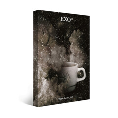 EXO专辑cd 2017冬专冬季版 universe