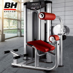 必艾奇（BH）坐式背肌训练器L510原装进口商用健身器材背部力量综合训练器