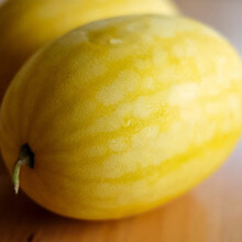 寿禾黑美人西瓜种子大果水果种子特甜早熟特大瓜种8-13斤寿光蔬菜瓜果春季种籽西瓜籽 安生黄美人种子 100粒（黄皮黄瓤）