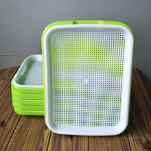 苏购   种小麦的盆 芽苗菜育苗盘豆芽菜种植盘无土栽培小麦绿豆水培家用双层种蔬菜盆 芽苗盘5套