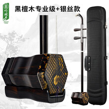 竹林丰 黑檀二胡乐器龙头二胡初学黑檀木二胡手工制作成人考级儿童练习专业演奏乐器 黑檀银丝款+天然蟒皮+琴盒+品牌校音器+全套配件