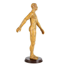 王太医 人体针灸模型经络穴位模型中医全身十二铜人模特图小人扎针