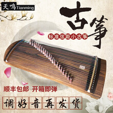 天鸣（Tianming）21弦迷你小古筝75cm便携式半筝入门初学儿童成人练指器可上飞机 标配