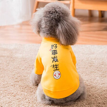 Dr.Bio宠物狗狗衣服猫衣服比熊雪纳瑞小型犬衣服泰迪小狗幼犬猫咪衣服秋冬季服装 好事发生 M号建议体重5-8斤
