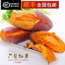 （顺丰速发）福建六鳌蜜薯5斤现挖新鲜红薯农家自种蜜薯红心地瓜糖心番薯 大果5斤装