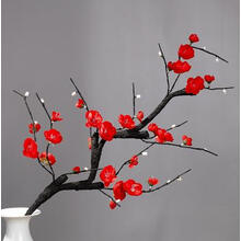 【干枝梅】价格_图片_品牌_怎么样-京东商城