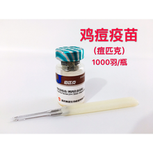 土鸡疫苗马立克小鸡痘鸡瘟新城疫 h120h52 法氏囊四系一系禽疫苗 兽用 鸡痘一瓶价