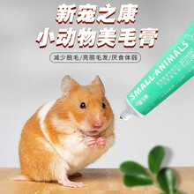 【第二件0元】新宠之康小宠之康系列鼠类用品全效保健营养膏高效木瓜排毛膏兔子龙猫仓鼠熊仔可食用美毛膏 美毛膏50
