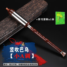 百灵鸟巴乌胶木树脂竖吹仿红木C调B调G调F调小学生成人初学乐器横吹巴乌 竖吹 A调 巴乌+书