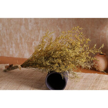 【品牌优选】黄色蓝人草天然晒干风干植物干花配草装饰花玄关装饰品 一束黄绿人草