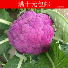 紫色花椰菜 价格 图片 品牌 怎么样 京东商城