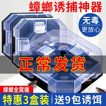 灭蟑螂屋贴蟑螂药纸盒子一窝端神器小强克星无毒厨房小屋粘板家用小强蟑螂捕捉器蟑螂药 一代三个装(送一个+20包饵料)