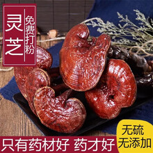 北京同仁堂 长白山带柄红灵芝整支红灵芝赤林芝可切灵芝片 500克