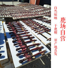 鹿场 新鲜鹿鞭 整条 干鹿鞭 整枝 成年干鹿鞭一条 干鹿鞭-成年大鹿鞭