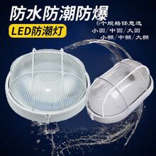 防潮灯led防爆灯澡堂浴室卫生间厨房防雾防水灯地下室外防潮壁灯 中椭圆（配20w节能灯）