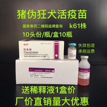 哈药猪伪狂犬病活疫苗小猪滴鼻用伪狂犬猪疫苗 k61猪药兽药1盒价 哈药10头份5盒价