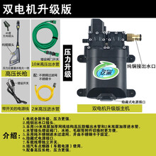 洗车器双泵亿派高压便携车载水枪工具家用12v刷车泵机套装神器 双电机升级版