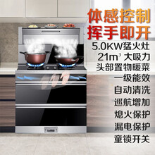 伟佳好太太 集成灶一体式 油烟机燃气灶消毒柜一体式集成灶 抽油烟机煤气灶烟灶套餐 一键智能自动清洗 集成灶900MM（升级体感控制+变频大吸力) 液化气（一级能效5.0KW猛火灶）