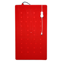 猪博士 仔猪电热板 猪用电热板 保温加热板 宠物猪狗蛇用加热板 红色55*100双线路