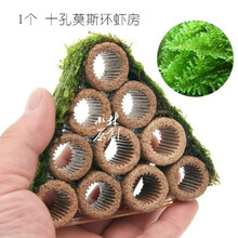 28莫斯活体水草定植环水草鱼虾缸水族箱造景装饰幼鱼虾躲避窝 10孔莫斯环虾坊1个