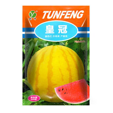 西瓜种子特色黄皮红肉西瓜籽高产早熟超甜红瓤西瓜水果种子黄皮黄肉早熟礼品小西瓜甜度高多品种特色水果种子 黄皮西瓜种子20粒试种