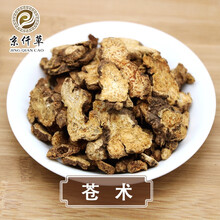 京仟草  苍术—— 燥湿健脾，祛风散寒，明目 1g （产自：河北）