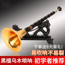唢呐 精制乌木唢呐  A/B/C/D/E/G/降B唢呐 初学演奏  带哨片 乌木降E调黄碗+8大
