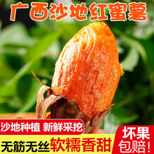 【甜糯细腻】广西沙地红薯新鲜蔬菜批发板栗番薯地瓜蜜薯5/9斤现摘现发红地瓜 5斤 沙地红蜜薯【甜糯细腻】