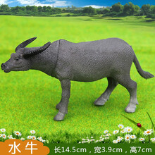 农场家禽牧场小动物模型猪狗公鸡母鸡鸭马奶牛羊早教玩具套装 水牛