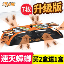 金大侠蟑螂药蟑螂捕捉器厨房清洁蟑螂屋诱饵贴家用全窝端 1盒装