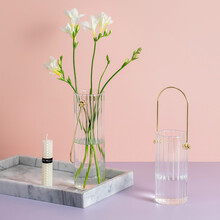 仙爱你 手提玻璃花瓶大号干花插花摆件鲜花水培植物花瓶花器条纹玻璃款花瓶家用客厅办公桌摆件装饰