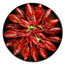 蟹小茉 小龙虾可剥虾尾小龙虾球 麻辣口味小龙虾860g(4-6钱)16-25只